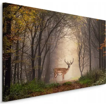 Obraz Obraz do chodby jelen LES stromy příroda 30x20