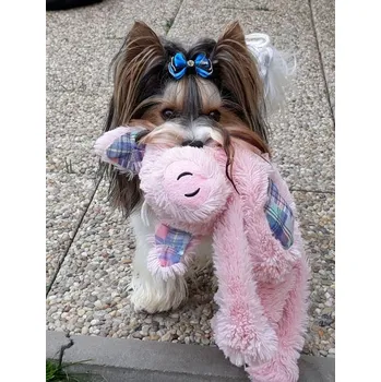 Hračka pro psa Prasátko, šustí a píská, 40cm aktuálně s červeným bříškem a ušima (Lehká šustící hračka pro malé a střední psy)