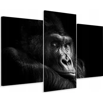 Obraz Obraz Triptych GORILA Opice Portrét Dekorace 3D 90x60