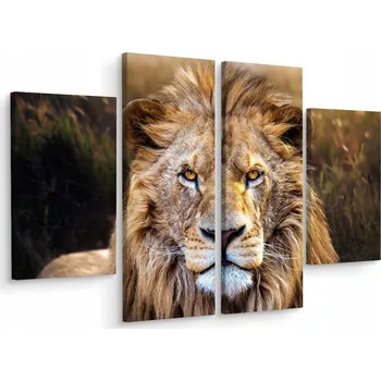 Obraz Čtyřdílný obraz LEV Divoká Kočka Příroda 3D 80x60