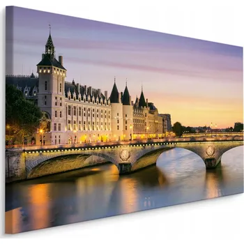 Obraz Obraz Řeka Seina, Paříž 70x50 /44915230