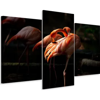 Obraz Obraz Triptych PLAMEŇÁCI na Tmavém Pozadí 3D 90x60