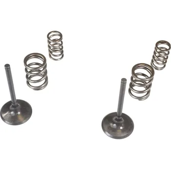 Rozvod motoru WISECO komplet ventilů sacíCH + pružiny KAWASAKI KX 450F 09-10 (WISECO komplet ventilů sacíCH + pružiny KAWASAKI KX 450F 09-10)