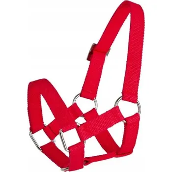 Chov hospodářského zvířete Ohlávka pro ovce a berany