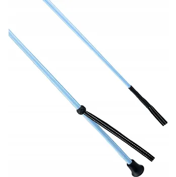 Základní Bič York