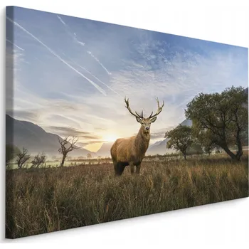 Obraz Obraz do kanceláře jelen KRAJINA 3D příroda 30x20