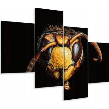 Obraz Čtyřdílný obraz HMYZ Sršeň Makro 3D 80x50