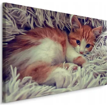 Obraz Obraz do Obýváku Malé Zrzavé Kotě 3D Efekt 120x80