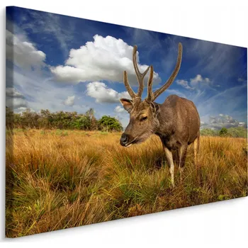 Obraz Obraz na Plátně Jelen POLANA Nebe Krajina 30x20