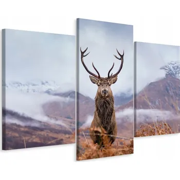 Obraz Obraz TRYPTYCH Jelení Hora Mlha Krajina 3D 90x60