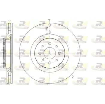 Brzdový kotouč ROADHOUSE Brzdový kotouč - 305 mm RDH 61391.10