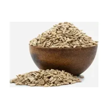 Sušená potravina Slunečnice jádra pražená solená