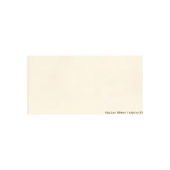 Němec, Václav - Václav Němec / zápisník