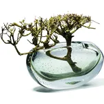 Philippi, Váza Amara 15 cm zelená - Formadore