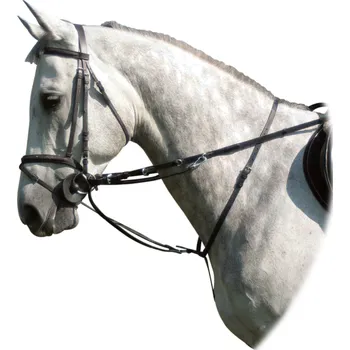 Jezdectví Kentaur Thiedemann kombinace otěže + martingal