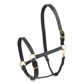 Jezdectví Waldhausen STAR Robust – kožená ohlávka s polstrováním, hnědá Barva: černá, Velikost: PON