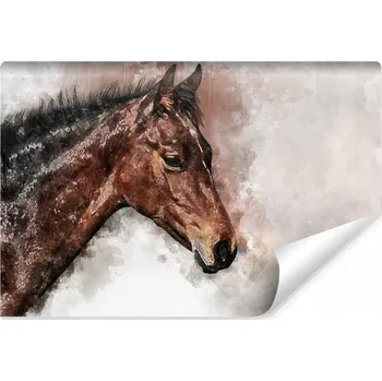 Fototapeta Fototapeta na zeď Hlava koně AKVAREL 3D 135x90