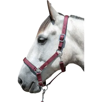 Měkce podložená ohlávka STARS vínová HKM Velikost: FULL