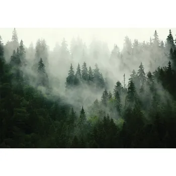 Fototapeta FOTOTAPETA LES V MLZE DO LOŽNICE OBÝVÁKU TAPETA NA ZEĎ VLIESOVÁ 200x140