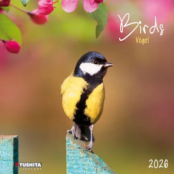 Kalendář Nástěnný kalendář Birds 2026