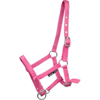 Horka hříběcí ohlávka Barva: Fialová