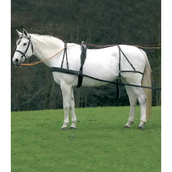 Postroj pro psa Kožený postroj Economic VB/WB černý Barva: černá, Velikost: WB velikosti VB, WB, XWB