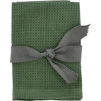 Södahl, Hadříky na nádobí Spectrum 30 x 30 cm zelené 2 ks - Formadore