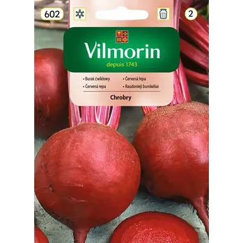 Semeno Červená řepa Chrobry (kulovitá, intenzivně zbarvená)