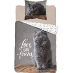 Detexpol Kočka Love 140 x 200, 70 x 80…