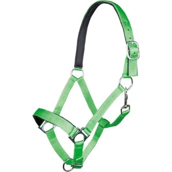 Měkce podložená ohlávka STARS světle zelená HKM Velikost: PONNY