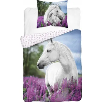 Povlečení Sada povlečení Detexpol 160 x 200 cm, vícebarevné