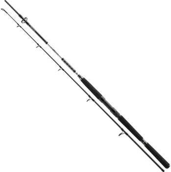 Daiwa Prut BG Offshore Pilk 2,7m 50-165g 2-díl