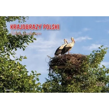 Kalendář Albomový kalendář 2026 – Krajiny Polský KA-7
