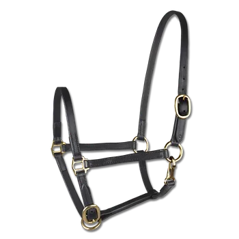 Vybavení pro koně Výstavní ohlávka STAR Waldhausen Barva: černá, Velikost: SH