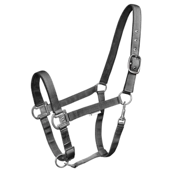 Vybavení pro koně Ohlávka Waldhausen Gloomy - šedá Barva: žulově šedá, Velikost: WB