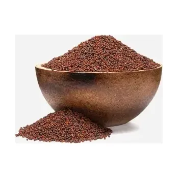 Sušená potravina Brokolice BIO semínka na klíčení 4 x 250 g