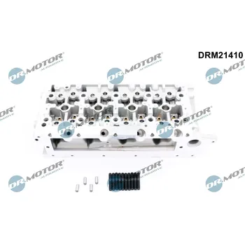 Motor automobilu Hlava válce DR.MOTOR DRM21410