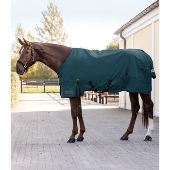 Deka pro koně Venkovní deka ARCTIC, 200 g Barva: petrolejově modrá, Velikost: 125 cm