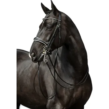 Vybavení pro koně HKM Uzda drezurní Dina černá Velikost: FULL s otěžemi