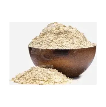 Příloha Rýžový protein BIO