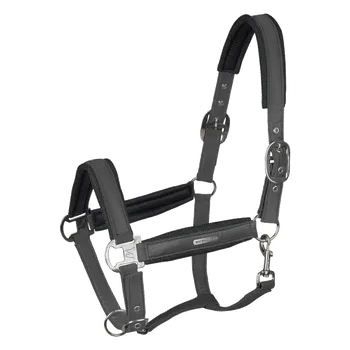 Vybavení pro koně Ohlávka Breath Waldhausen se síťovinou vícebarevná Barva: antracit, Velikost: PON