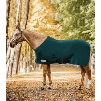 Deka pro koně Odpocovací fleesová deka Economic Waldhausen zelená Barva: jedle zelená, Velikost: 125 cm