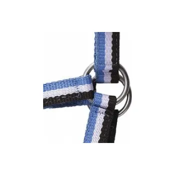 Norton hříběcí ohlávka pruhovaná Barva: Modrá