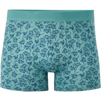 Pánské oblečení Celio Boxerky Libofloral Celio modrá | tyrkysová 3506054