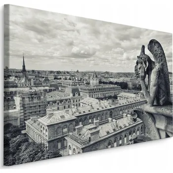Obraz Panorama Paříže - Obraz 100x70 cm /55973595