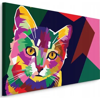 Obraz Nástěnný obraz Barevný Grafický KOČKA Dekorace 40x30