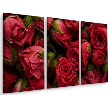 Obraz Obraz TRYPTYCH Růže Kapky Vody Příroda 3D 60x40