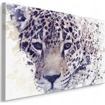 Obraz Obraz majestátní leopard 30x20 /137525750