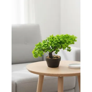 umělá květina Sinsay - Dekorační rostlina bonsai v květináči - zelená - 815HI-77X - 815HI-77X-ONE