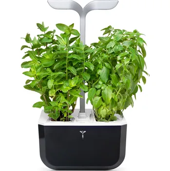 Sazenice Veritable, Malý květináč Veritable Exky Smart soft black - Formadore